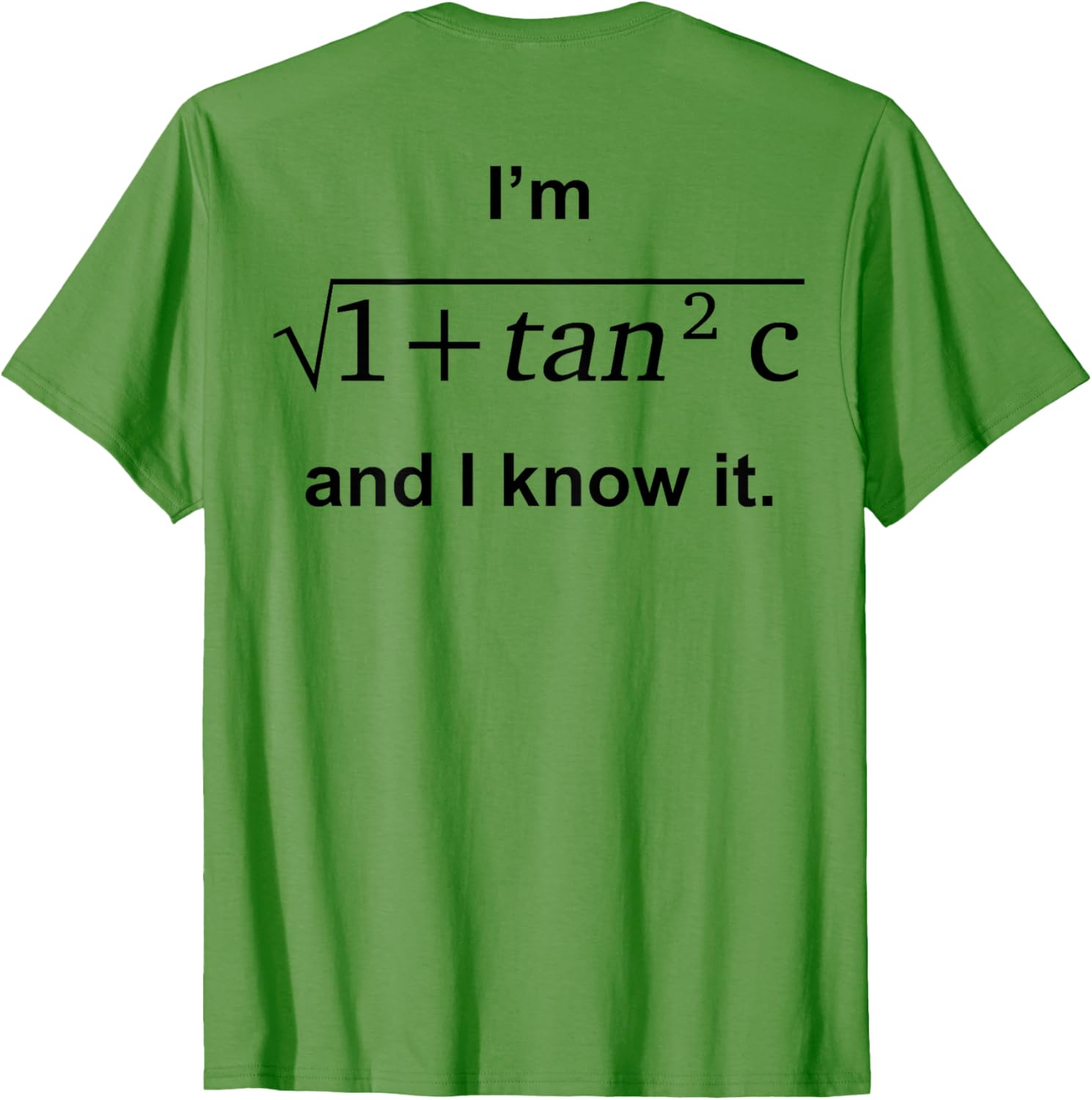 I'm 1 + Tan 2c And I Know It Fun Graphic T-Shirt for Kids - 7