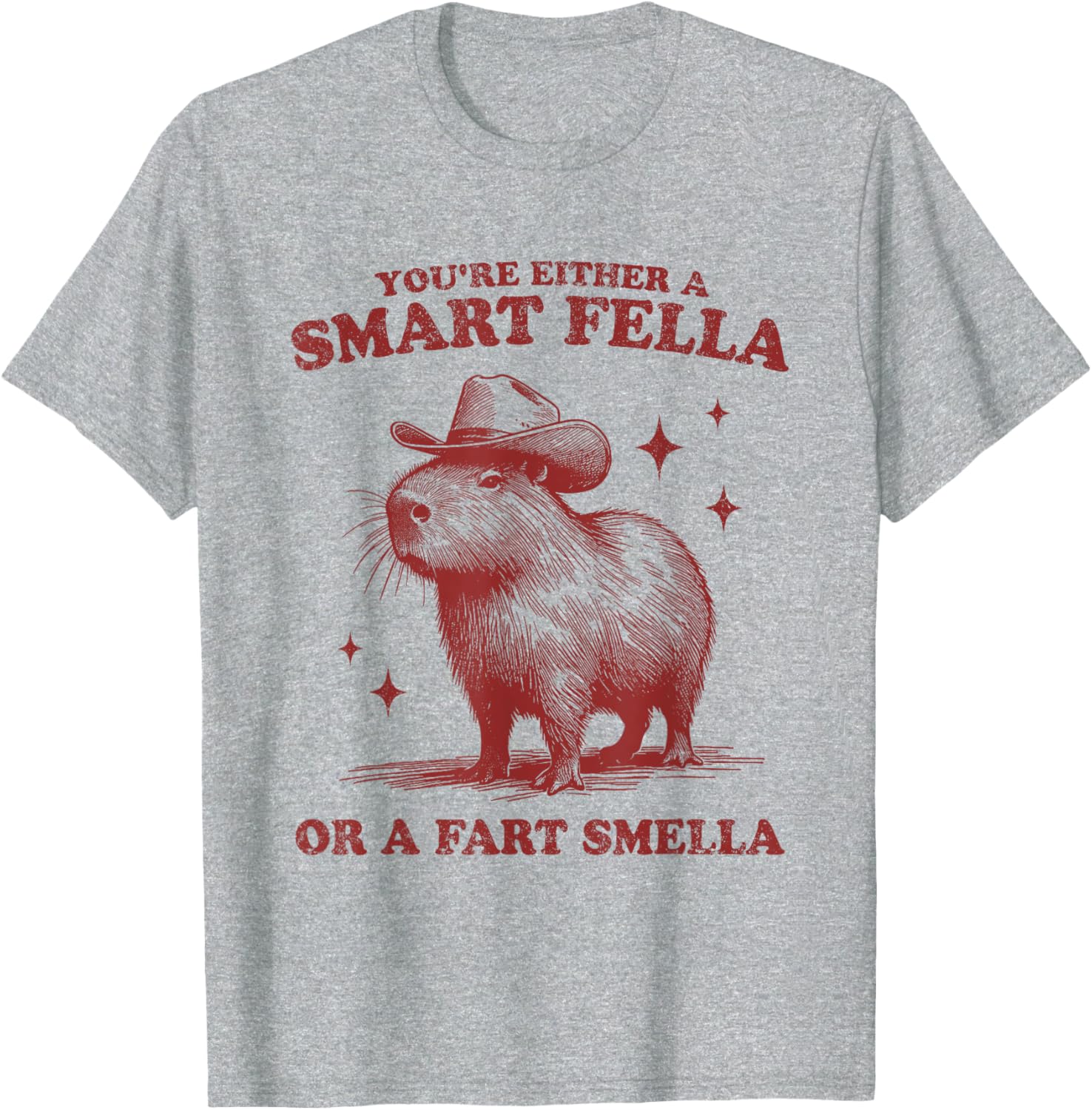 Funny Capybara T-Shirt - You're Either Smart or a Fart Smella Tee - 3