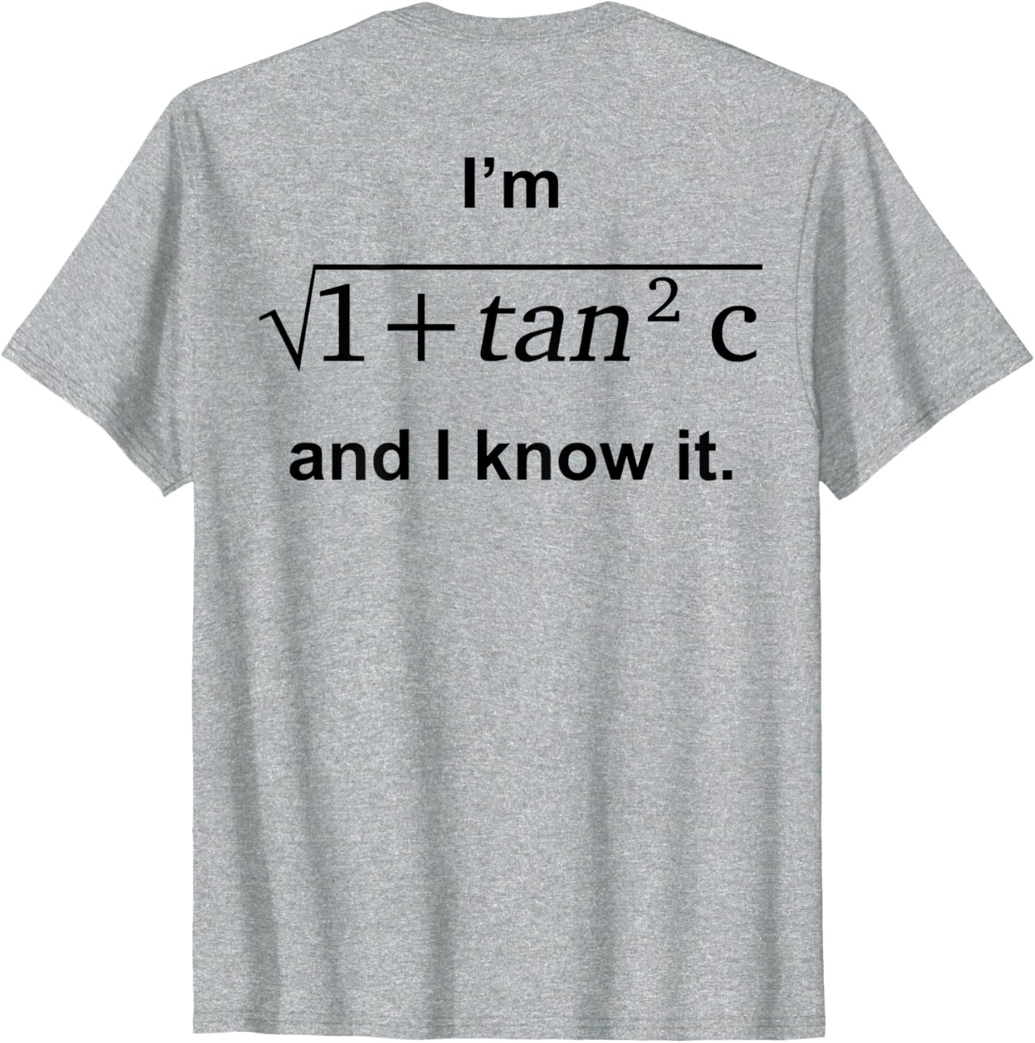 I'm 1 + Tan 2c And I Know It Fun Graphic T-Shirt for Kids - 6